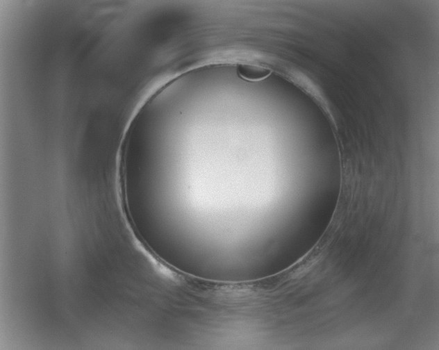 X0000056011103200508221448