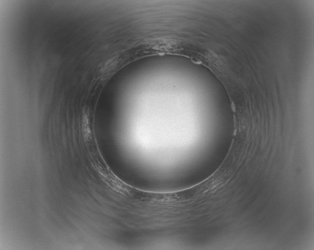 X0000056011106200508221447