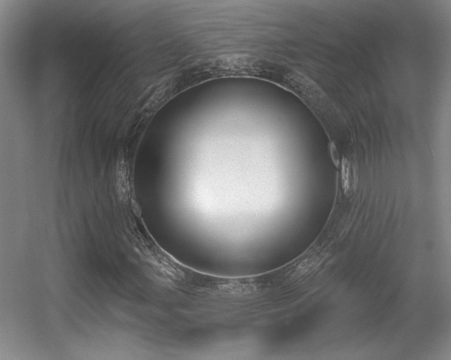 X0000056011107200508221447