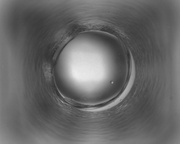 X0000056011108200508221447