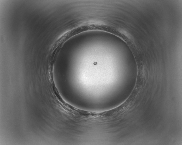 X0000056011112200508221447