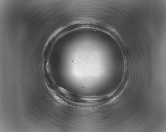 X0000056011114200508221447