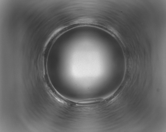 X0000056011123200508221447