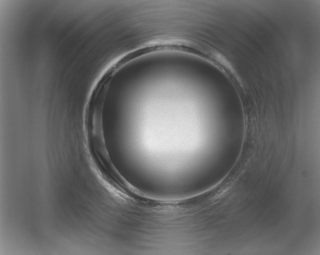 X0000056011124200508221447