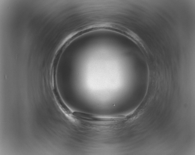 X0000056011127200508221447