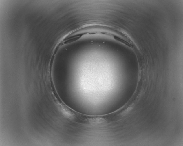 X0000056011129200508221447
