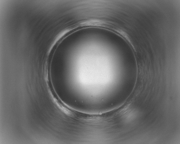 X0000056011131200508221447