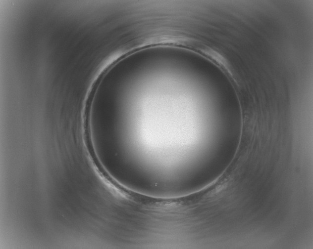 X0000056011135200508221447