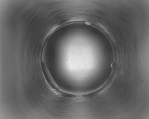 X0000056011137200508221447