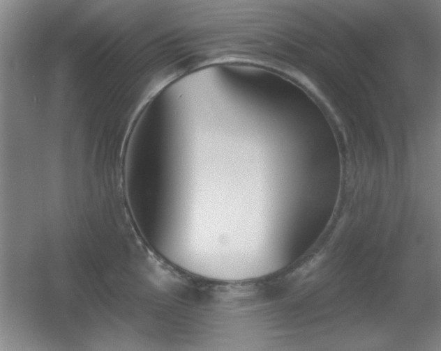 X0000056011145200508221448