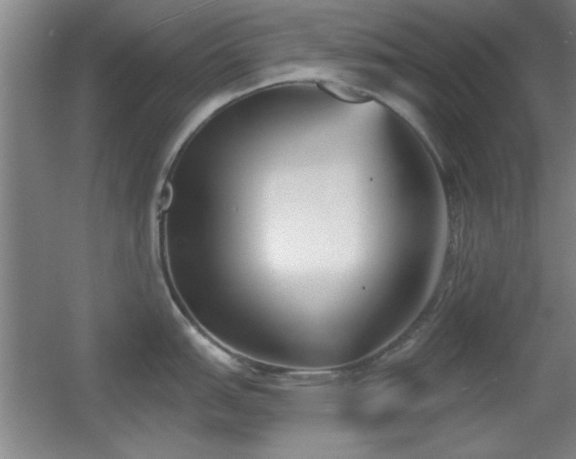 X0000056011151200508221448