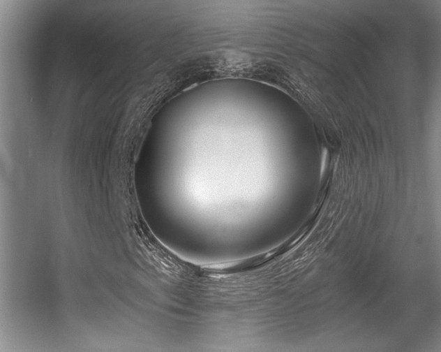 X0000056011153200508221447