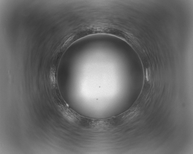 X0000056011155200508221447