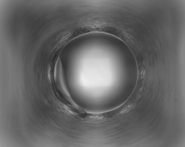 X0000056011156200508221447