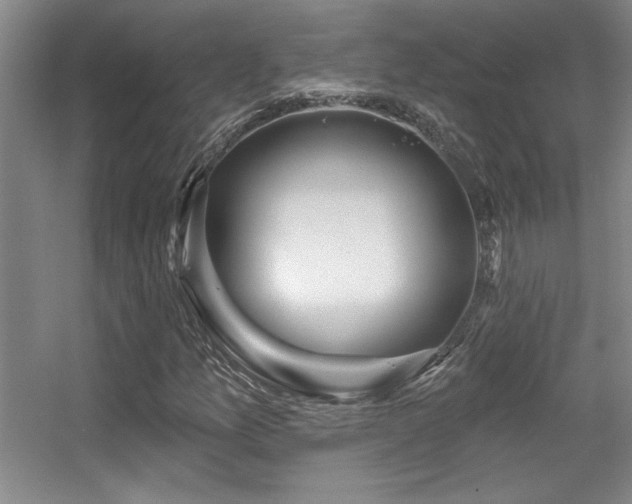 X0000056011157200508221447