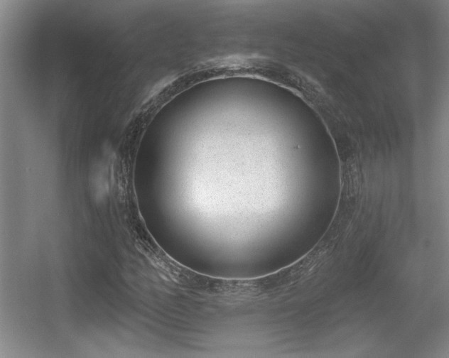 X0000056011158200508221447