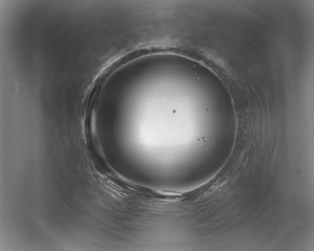 X0000056011160200508221447