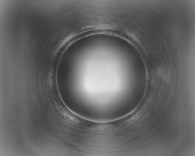 X0000056011163200508221447
