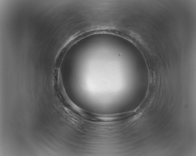 X0000056011165200508221447