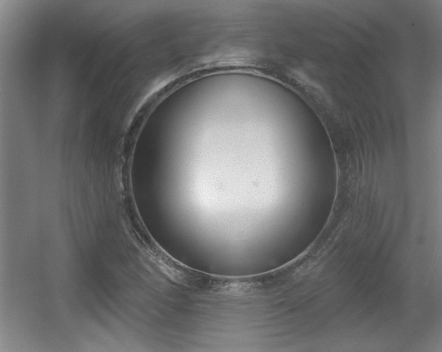 X0000056011166200508221447