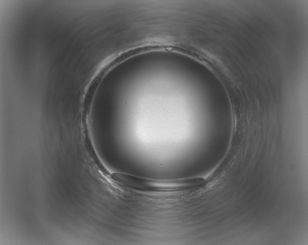 X0000056011168200508221447