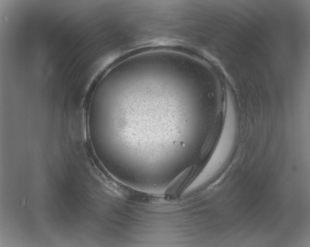 X0000056011171200508221447