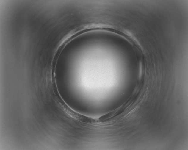 X0000056011173200508221447