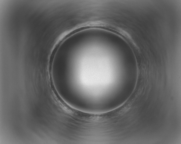 X0000056011176200508221446