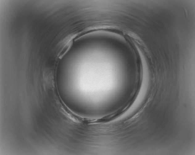 X0000056011177200508221446