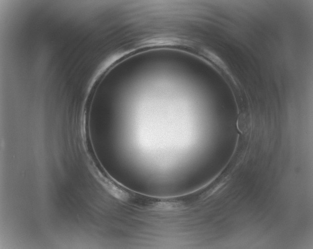 X0000056011179200508221446