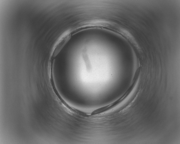 X0000056011180200508221446
