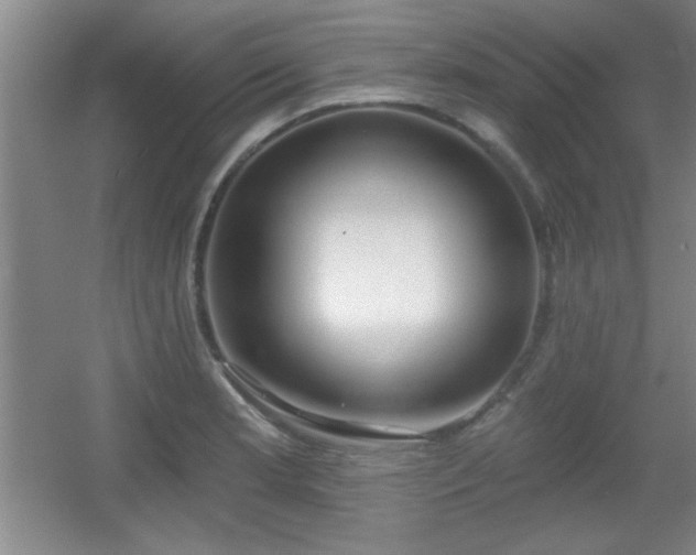 X0000056011181200508221446