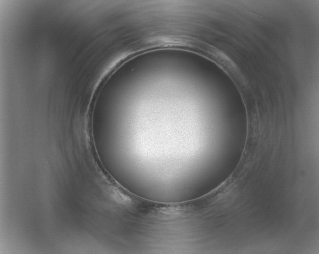 X0000056011182200508221446