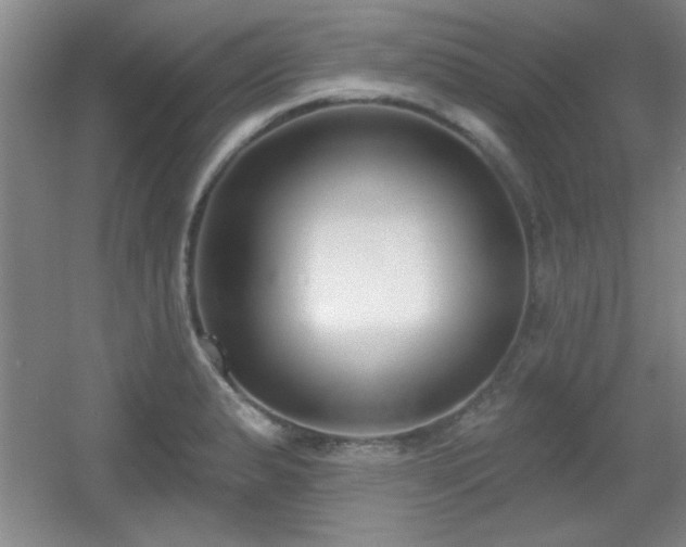 X0000056011183200508221446