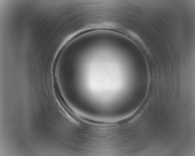 X0000056011184200508221446