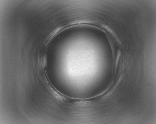 X0000056011185200508221446