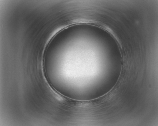 X0000056011187200508221446