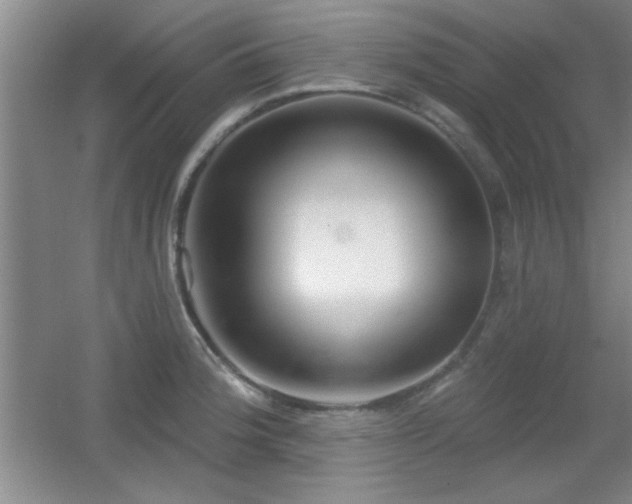X0000056011188200508221446