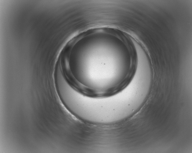 X0000056011189200508221446