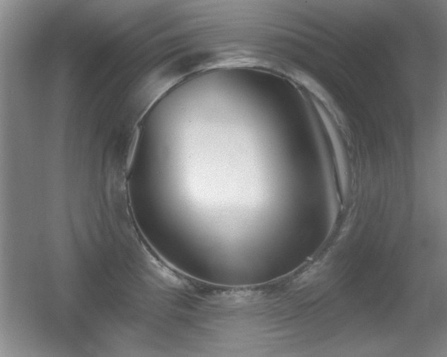 X0000056011193200508221446