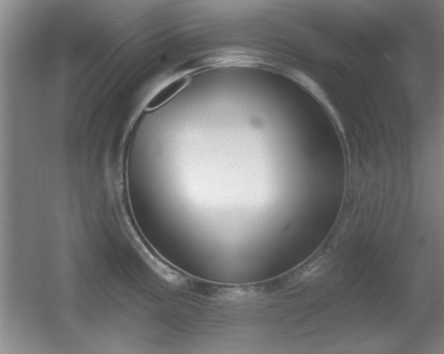 X0000056011195200508221446