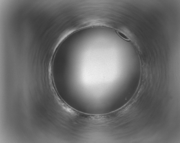 X0000056011198200508221446