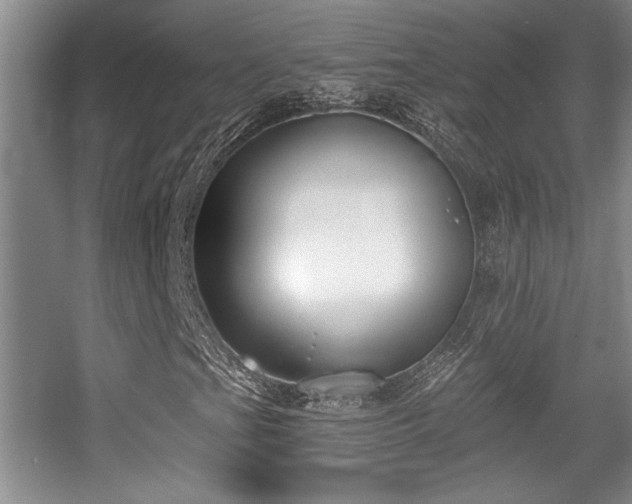 X0000056011201200508221445