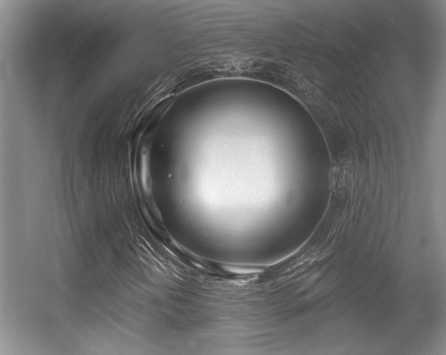 X0000056011202200508221445