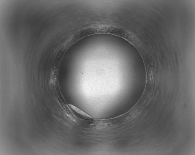 X0000056011204200508221445