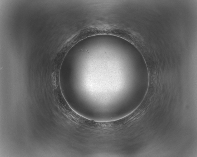 X0000056011205200508221445