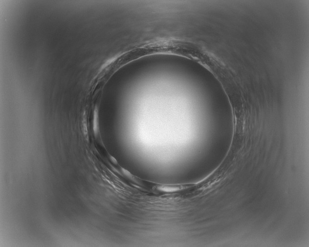 X0000056011206200508221445