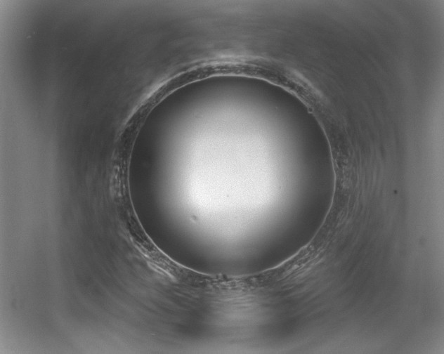 X0000056011208200508221445