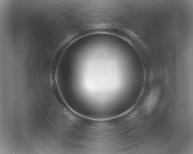X0000056011209200508221445