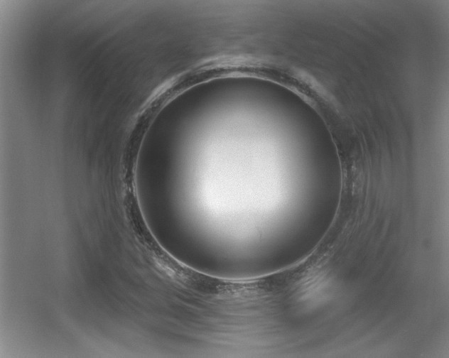 X0000056011213200508221445